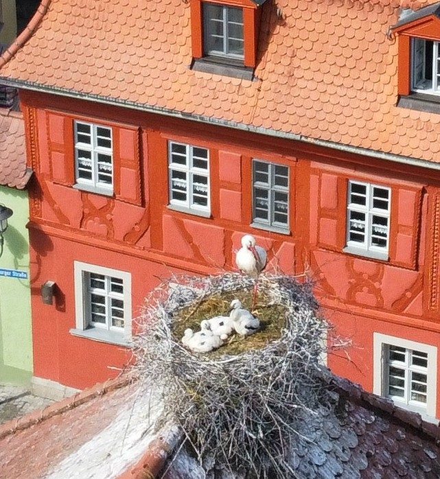 3facher Nachwuchs auf dem Rathausdach & Endspurt bei der Kinderkrippe „Im Sonnenschein“
